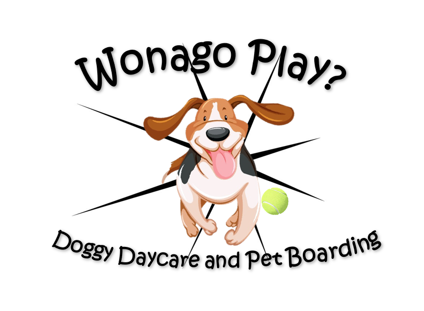 Wonago Play Doggy Daycare
